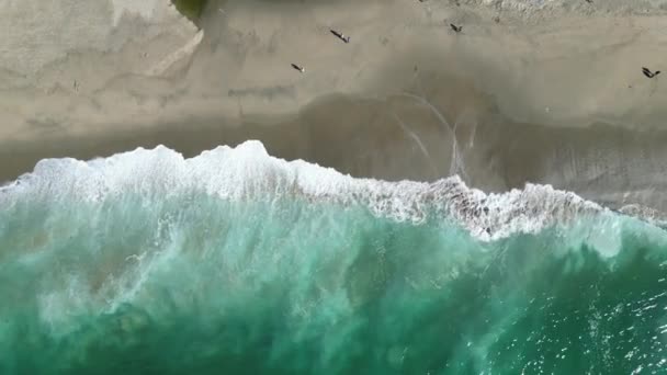 모래사장의 드론을 밀려오는 청록색 바다의 — 비디오