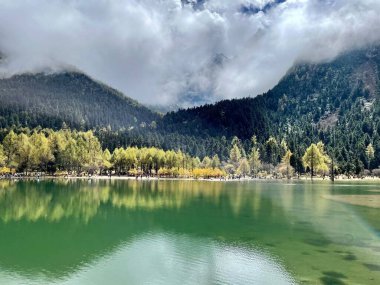 Bulutlu bir günde gölde yansıyan köknar ormanlarının manzarası.