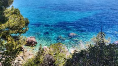 Bitkilerle çevrili kayalık bir sahil ve mavi deniz suyunun yüksek açılı görüntüsü.