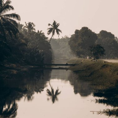 Kelanang Köyü, Kuala Langat, Malezya 'da güzel bir sabah manzarası