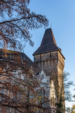 Budapeşte 'deki Vajdahunyad kalesinin mavi gökyüzünün altındaki dikey görüntüsü.