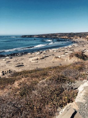 Kaliforniya 'da güneşli bir sabahta kumlu bir sahil ve uçurumların havadan görüntüsü.