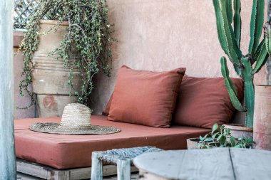 Terastaki bankta bir hasır şapka kaktüs ve saksıda çiçekler