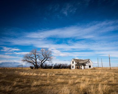 Manzaralı mavi gökyüzünün altında tarım arazisinde güzel bir ev manzarası.