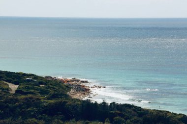 Yeşil yemyeşil ağaçlı sahilin manzarası.