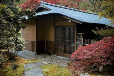 Yoğun ağaçlarla çevrili bir bina.