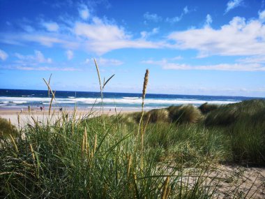 Güneşli havalarda açık gökyüzü arkaplanı olan mavi bir deniz manzarası