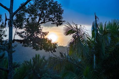 A natural landscape under a sunset sky