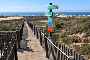 Portekiz, Cascais 'deki Cresmina kumullarında bir sahil yürüyüşü.