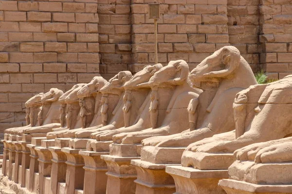 Avenue Sphinxes King Festivities Road Nel Tempio Luxor Egitto — Foto Stock