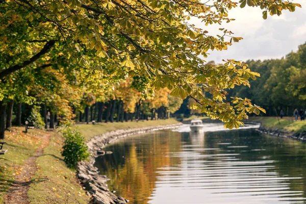 Eine Nahaufnahme Einer Herbstkastanie Der Nähe Des Flusses Bei Tag — Stockfoto