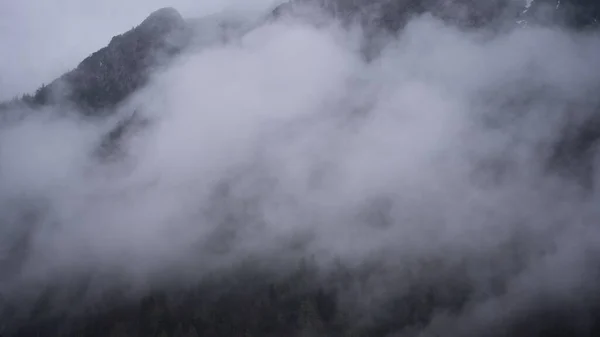 Drone Shot Trees Fog Bavarian Alps Germany — Stock fotografie