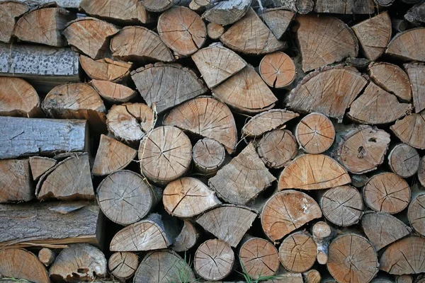 Closeup Shot Cut Firewood Wallpaper Cut Tree Branches Logs — Stock Photo, Image