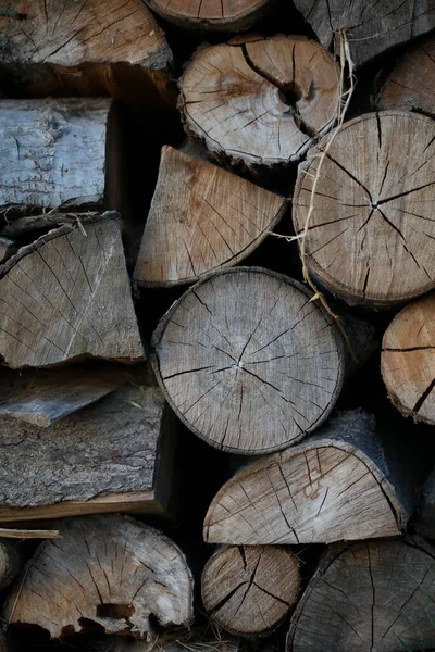 Kesilen Odunların Dikey Görüntüsü Kesilen Ağaç Dalları Kütüklerinden Oluşan Duvar — Stok fotoğraf