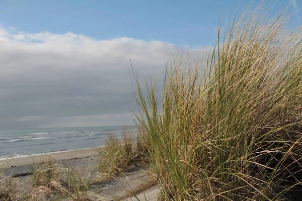 Das Hohe Gras Strand Gegen Das Meer Und Den Bewölkten — Stockfoto