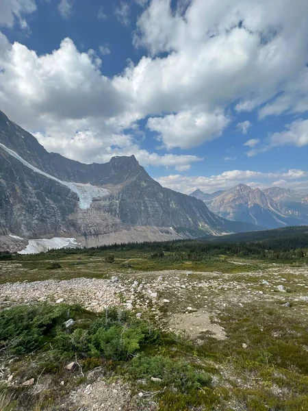 Луг Эдит Кавелл Скалистыми Горами Заднем Плане Канада — стоковое фото