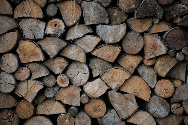 Closeup Heap Cut Logs — Stock Photo, Image
