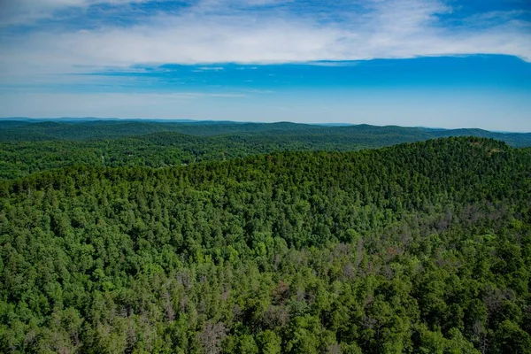 Ein Endloser Wald Mit Einem Leicht Gerahmten Horizont Einer Stadt — Stockfoto