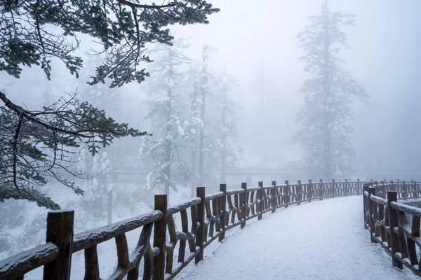 Vacker Bild Träväg Skog Täckt Snö Vintern — Stockfoto