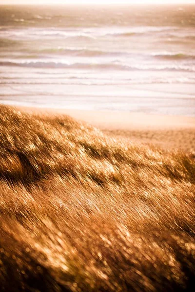 Ein Blick Auf Meereswellen Die Strand Mit Wachsendem Gras Durchbrechen — Stockfoto