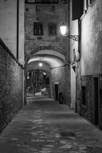 Vertical Grayscale Shot Narrow Alley Traditional Stone Buildings Bergamo Italy — Stock Photo, Image
