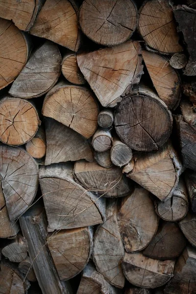 Tiro Vertical Lenha Corte Papel Parede Galhos Árvore Corte Logs — Fotografia de Stock