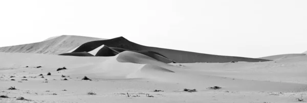 Минималистичный Панорамный Вид Пустыню Оттенках Серого — стоковое фото