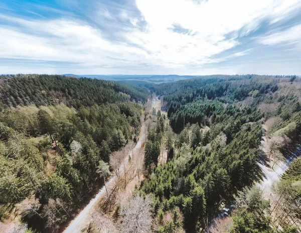 Stock image An aerial view of a green forest