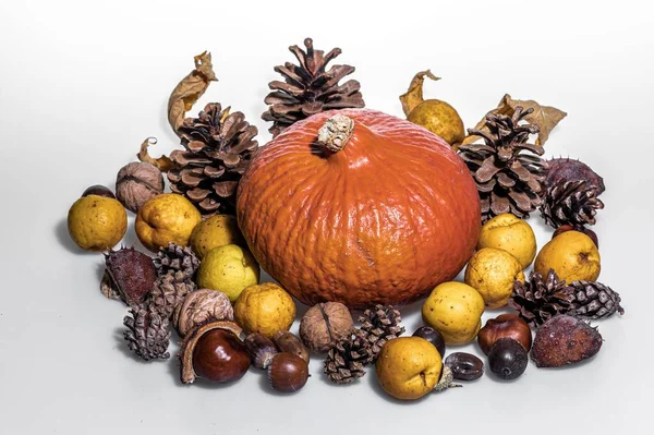 stock image An autumn installation made of cones and fruits