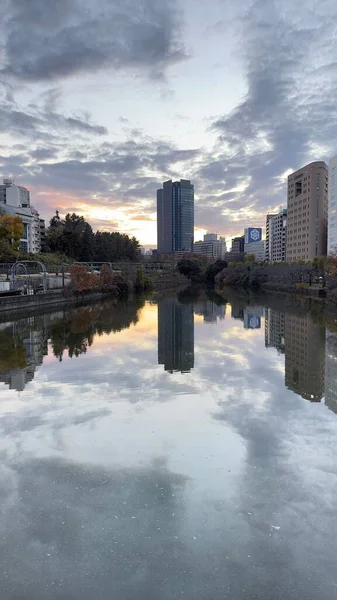 Vertikal Bild Floden Med Reflektion Moderna Byggnader Solnedgången Molnig Himmel — Stockfoto