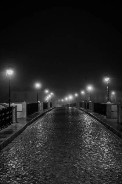 Vertical Shot Black White Shot Road Illuminated Street Lamps Night — Stock Photo, Image