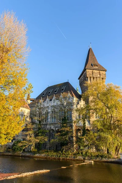 Eine Vertikale Aufnahme Der Burg Vajdahunyad Umgeben Von Herbstbäumen Und — Stockfoto