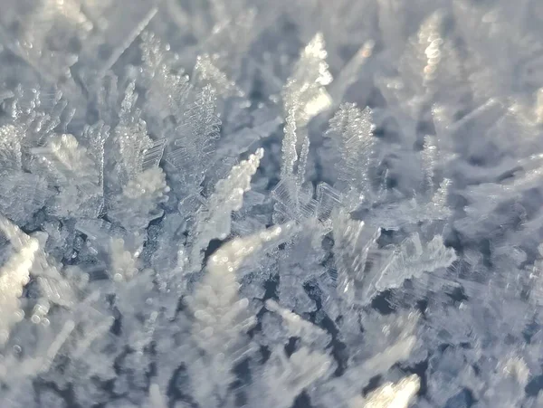 Eine Nahaufnahme Weißer Eiskristalle Auf Blumenähnlichen Pflanzen — Stockfoto