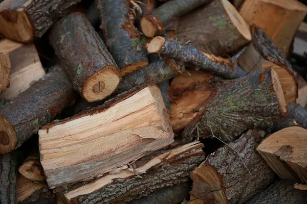 Closeup Shot Cut Firewood Wallpaper Cut Tree Branches Logs — Stock Photo, Image