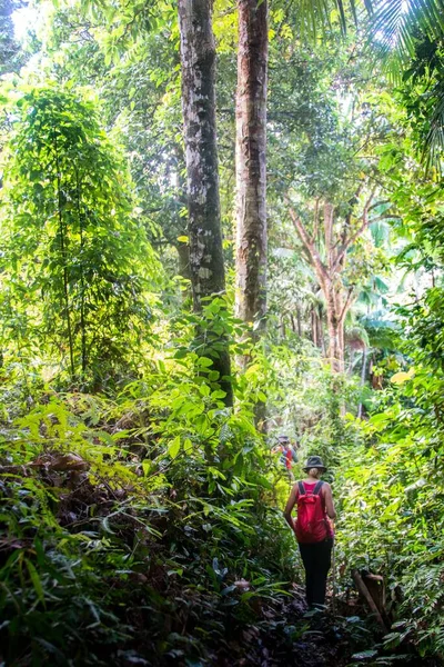 Una Vista Vertical Excursionista Femenino Bosque — Foto de Stock