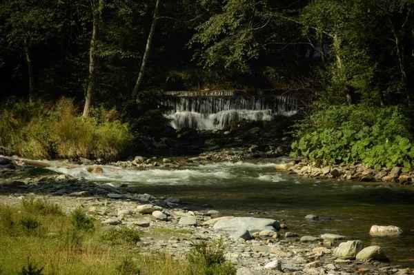 Ein Wasserstrom Fließt Über Felsen Mit Bäumen Hintergrund — Stockfoto