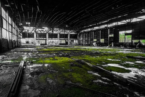 Uma Foto Colorida Seletiva Antigo Edifício Musgoso Abandonado — Fotografia de Stock
