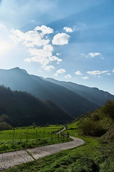 Ein Schmaler Pfad Durch Ein Grünes Tal Den Bergen — Stockfoto