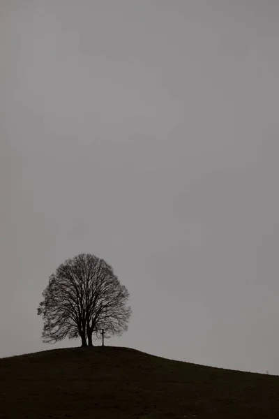 暗い雲の下の緑のフィールドに1本の木とクロスの垂直ショット — ストック写真