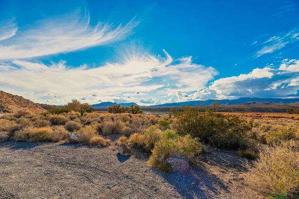 Krajobraz Pustyni Dzikimi Roślinami Nevadzie Błękitnym Niebem Horyzoncie Latem — Zdjęcie stockowe