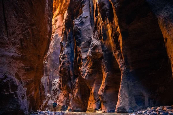 Hiker Enjoying View Narrows Rugged Walls Zion Canyon Zion National — Stock Photo, Image