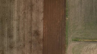 Bir tarlada çalışan tarımsal makinenin havadan görünüşü