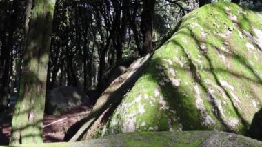 Portekiz 'deki Sintra Cascais Doğal Parkı' nın üzerindeki arazinin bir görüntüsü.