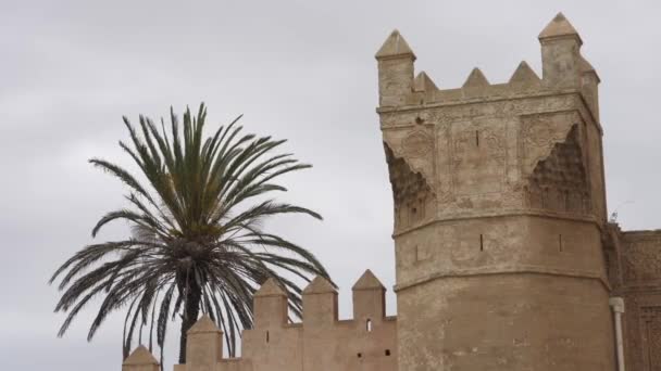 Low Angle View Chellah Rabat — Stock Video