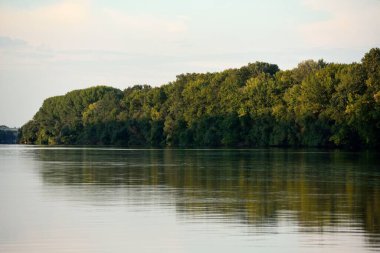 Tuna Nehri 'nin güzel manzarası sık ağaçlarla kaplı.