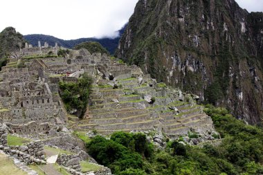 Peru 'daki Machu Picchu' nun birçok terası