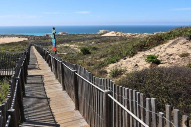 Portekiz, Cascais 'deki Cresmina kumullarında bir sahil yürüyüşü.