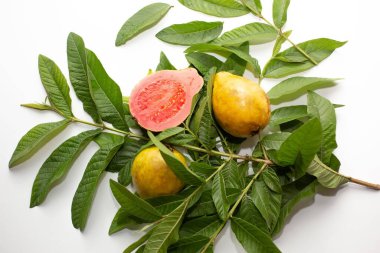 Beyaz arka planda yaprakları olan yüksek açılı bir guava görüntüsü.