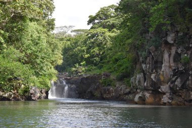 Yoğun ağaçlarla çevrili nehrin havadan görünüşü