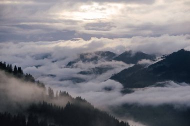 Avusturya 'nın Vorarlberg kentindeki dağların yakınlarındaki güzel bir ormanın hava manzarası.